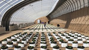 戈壁設施蔬菜綠色高效栽培技術